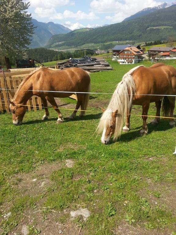 Hölzlhof Brunico Kültér fotó